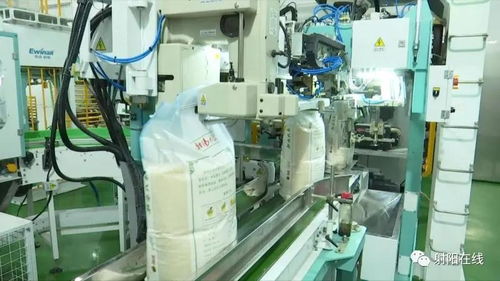 射陽大米首獲省政府農(nóng)業(yè)技術(shù)推廣獎，技術(shù)創(chuàng)新引領(lǐng)產(chǎn)業(yè)升級