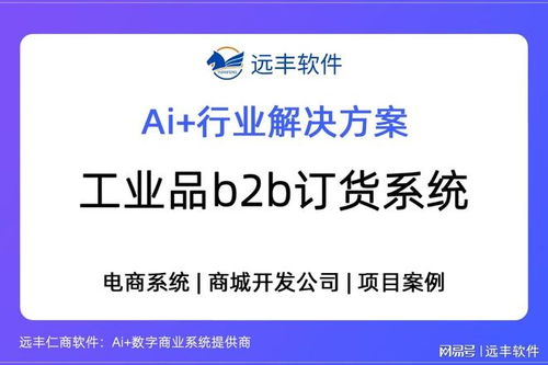 遠(yuǎn)豐軟件 以工業(yè)品B2B訂貨系統(tǒng)為核心，打造供應(yīng)鏈數(shù)字引擎，賦能數(shù)字內(nèi)容制作服務(wù)