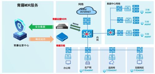為數字資產保駕護航 青藤正式推出MSS安全托管服務與數字內容制作服務